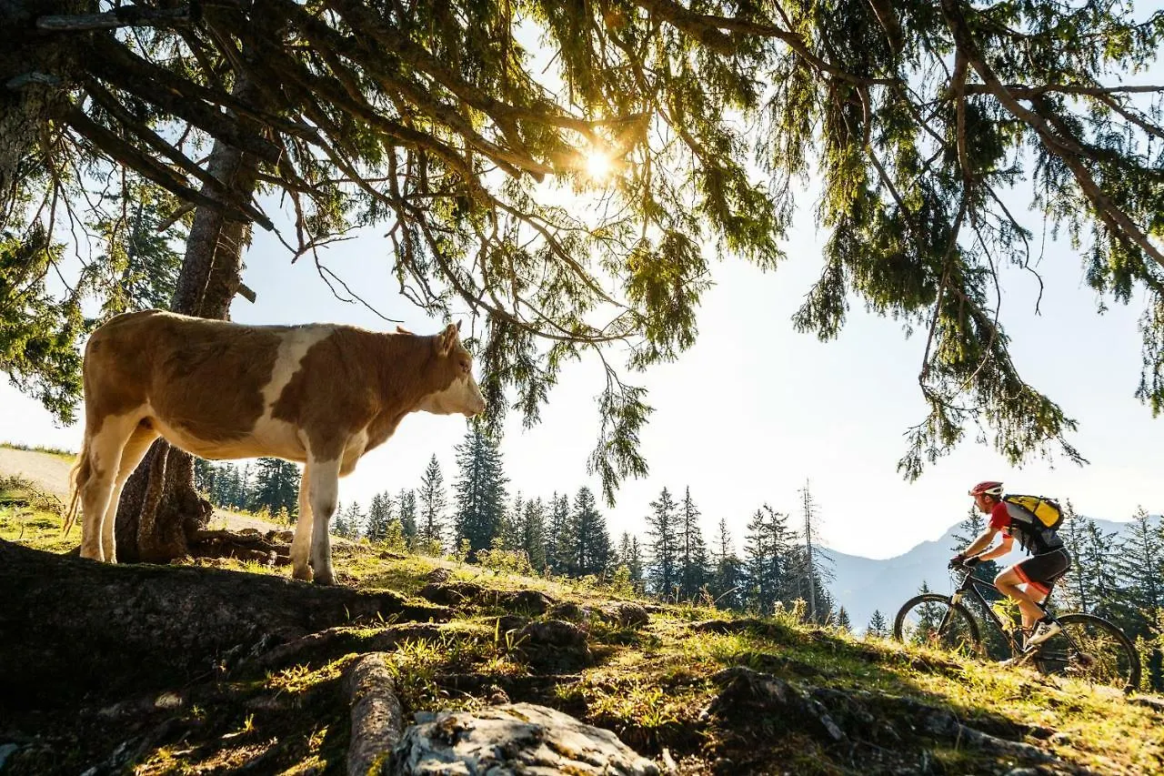 Ferienwohnung Schifterhof Ruhpolding Germany